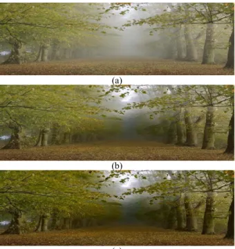 Table  2:  Comparison  about  visible  edges  ratio  (%)