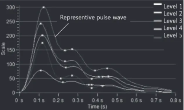 Fig. 1. Radial pulse waveforms obtained with 5  levels of applied pressure
