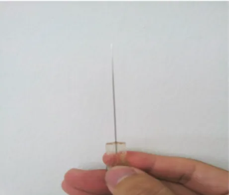 Fig. 1. Dochim commonly used as the end of  a sharp knife and reches the length of 8 cm