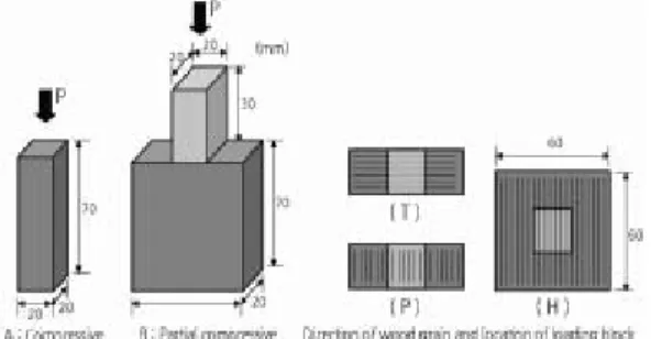 Fig. 2. Schematic diagram of specimen, angle of  grain and location of loading block.