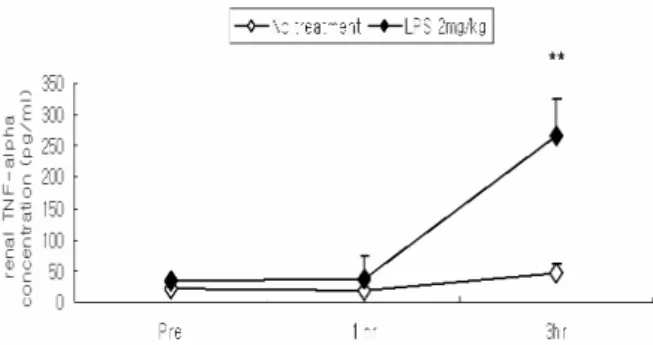 Fig. 3. Effect of LPS on renal TNF-α  level in  SD rats 
