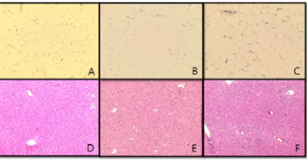 Fig  6.  The  effect  of  adiponectin  levels  in  serum on N, CT and EC 