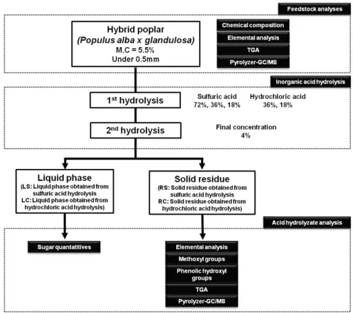 Fig. 1. Experimental scheme of acid hydrolysis and analysis of monomeric sugars and each solid residues