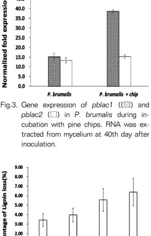 Fig. 4. Lignin content losses of Pine chips bio- bio-degraded by  P. brumalis during 20 to  80 incubation days.