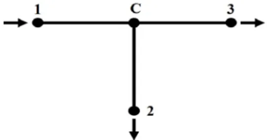 Figure  1:  A  typical  piping  network