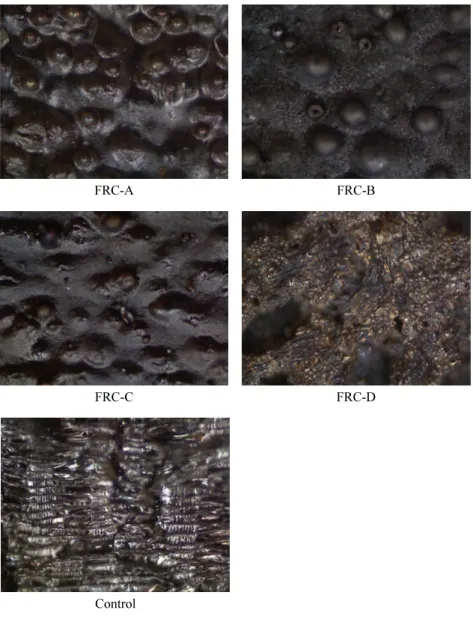 Fig. 5. The morphology of the residual charred outer layers (× 300 lens).