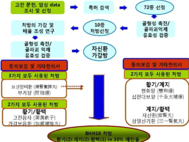 Fig. 1. BHH10 product development process mimetic diagram