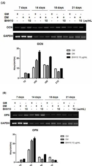 Fig. 7. Effect of BHH10 on the ostegenic mineralization of MC3T3-E1 cells by (A) von Kossa staining(100x) and (B) number of particle GM : Growth medium., DM: Differentiation.