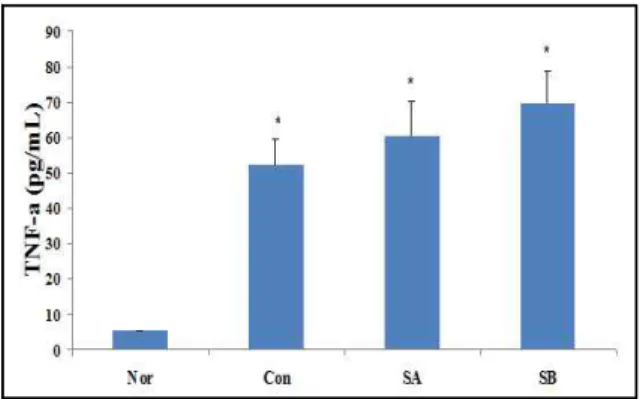 Fig. 7. The changes of TNF-α  concentrations Normal group(Nor) was administrated with saline only.