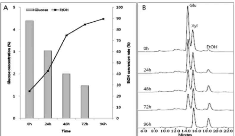 Fig. 5. Fermentation of switchgrass hydroly- sate. A: Glucose concentration and ethanol conversion rate after fermentataion, B: HPLC spectra of fermentation solution.