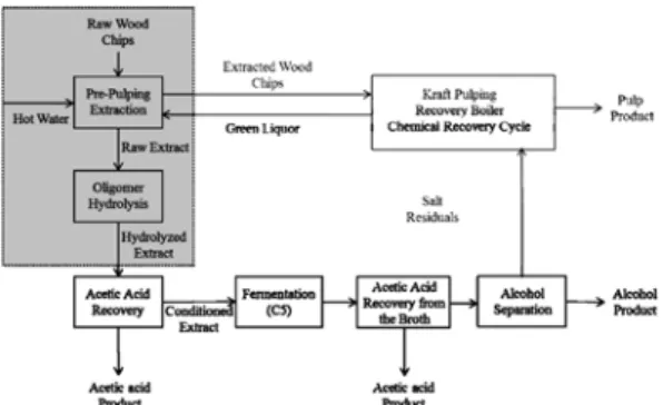 Fig 1. Simplified block diagram representing the  process flow of a pulp and biorefinery