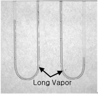 Figure  3:  Long  vapor  and  long  liquid  slugs  observed  through  transparent Pyrex tube wall (Top: heating, Bottom: cooling) 