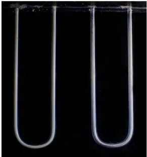 Figure  7:  Photograph  of  Al 2 O 3   nanoparticles  coated  on  the  inner  surface of Pyrex heat pipe