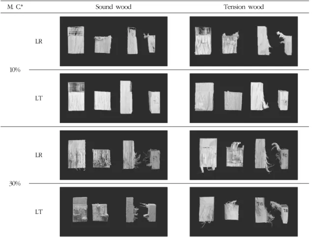 Fig. 3. Macroscopic failure of shear stress in Quercus mongolica wood.