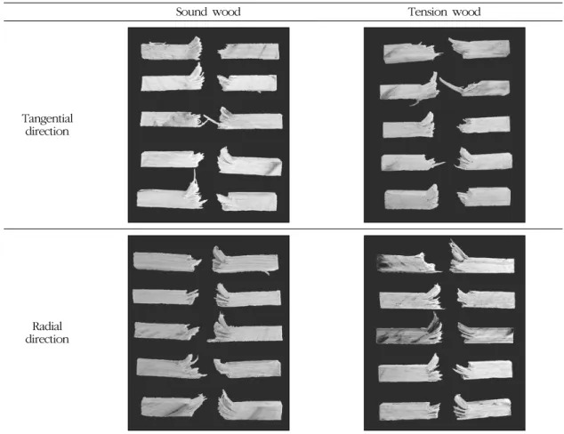 Fig. 4. Macroscopic failure of bending stress in Quercus mongolica wood.
