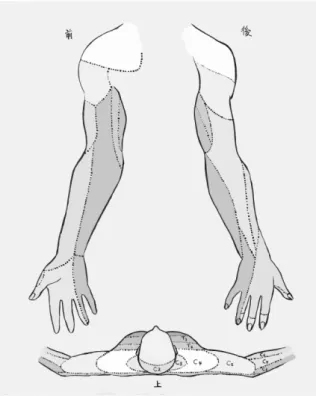 Fig  1.  Dermatome  of  upper  limb       측정지표(VAS)       측정일 항부  동통 상지부  저림 8.  1 10 10 8