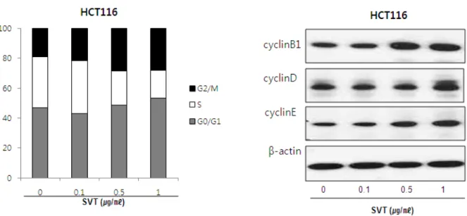 Fig.  3.  Cell  cycle  analysis  of  HCT116  colon  cancer  cells  treated  with  various  doses  of  SVT 