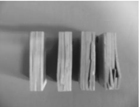 Fig. 5. Compression failure mode of LVL using formulated adhesives.  의 비는 C, CA, CP, PE에 있어서 각각 1.07, 0.91,  0.85, 0.86으로 나타났다