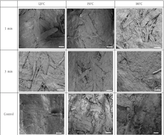 Fig 3. Scanning electron microscopic Images of larch-pellets and control pellet made with different densification times and temperatures
