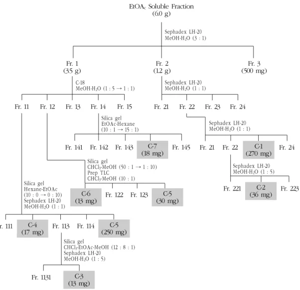 Fig. 1. Column chromatographic procedure on the EtOAc soluble fraction of the stem wood of A