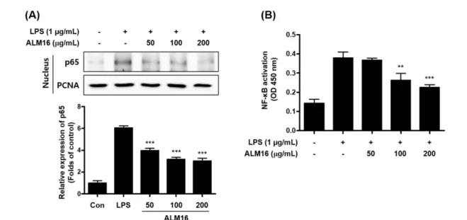 Fig. 5 Inhibitory effect of ALM16 on NF-κB activation in RAW264.7 cells stimulated with LPS