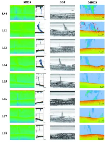 Figure  6.  Color-coded  backscatter  images  of  L02  recorded  by  the  multibeam  echosounder