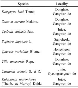 Fig. 1. Figures appeared on the radial section (A)  and tangential section (B, C, D) of Dispyros  kaki wood.