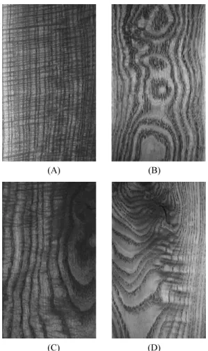 Fig. 3. Figures appeared on the radial section (A)  and tangential section (B, C, D) of Cedrela  sinensis wood.