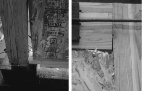 Fig. 11. Failures of SIP specimen.