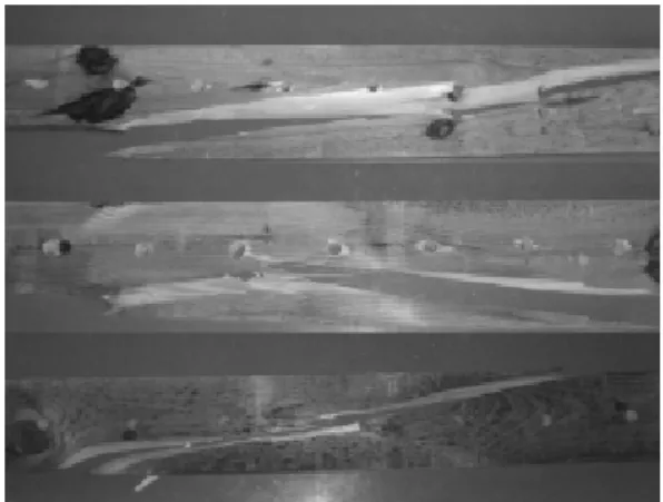 Fig. 4. Effect of bolt hole on the bending MOE (N/mm 2 ) of preservative treated pitch