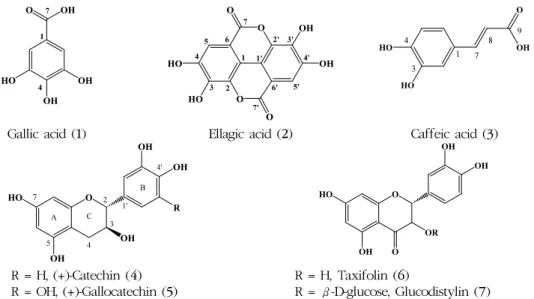 Fig. 7. Chemical structures of compounds isolated from Quercus spp. barks. 