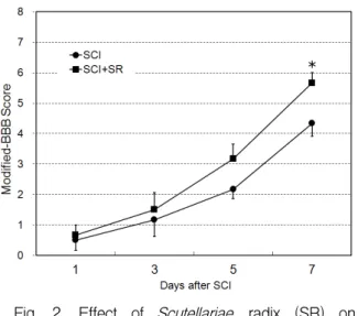 Fig.  2.  Effect  of  Scutellariae  radix  (SR)  on  neurological  score  (modified-BBB  score)  of  the  contusive  spinal  cord  injury  (SCI)-induced  rats SR  significantly  increased  the  modified-BBB  score  on  day  7  after  the  SCI  compared  wi