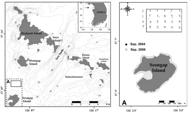 Figure 1: Location map of study area and 24 stations of surface sediments. Study area is located between  Moongap Island and Seongap Island.
