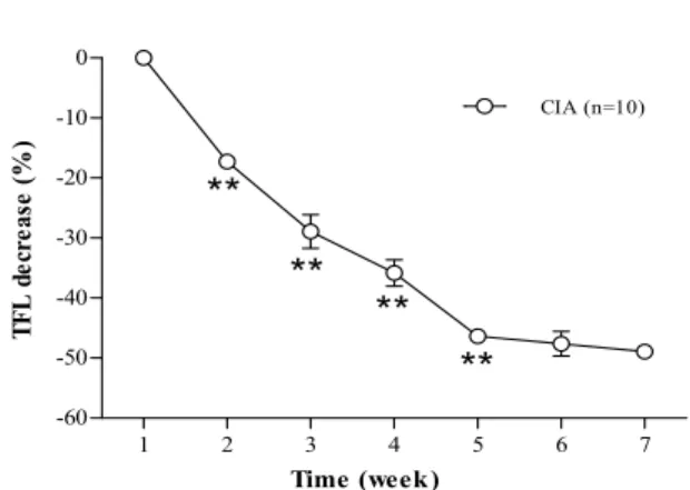 Fig.  1.  Changes  of  tail  flick  latency  (TFL)  after  induction  of  collagen-induced  arthritis  (CIA) 