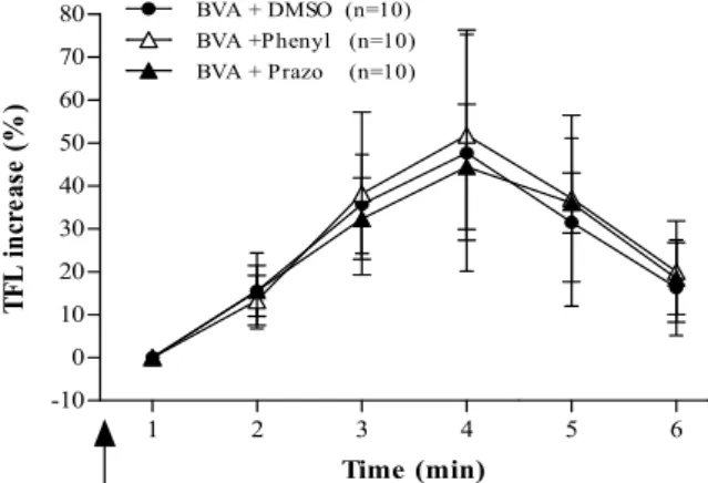 Fig.  4.  Effects  of  5HT-3  receptor  agonist  and  antagonist  pretreatment  (arrow)  on  BVP-induced  antinociceptive  effect  in  CIA 