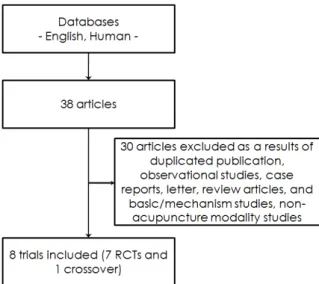 Fig.  1.  Process  of  trial  identification  and  selection