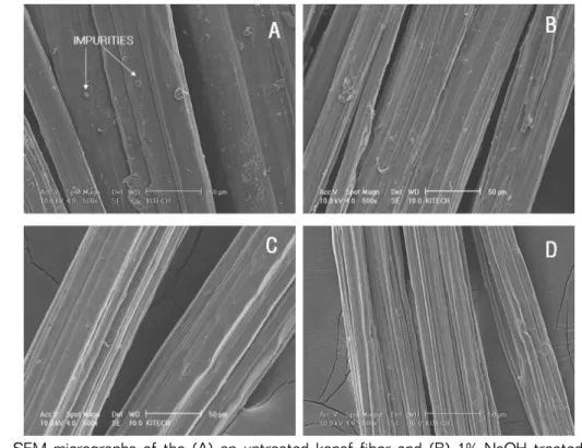 Fig. 6. SEM micrographs of the (A) an untreated kenaf fiber and (B) 1% NaOH treated (C) 3% 