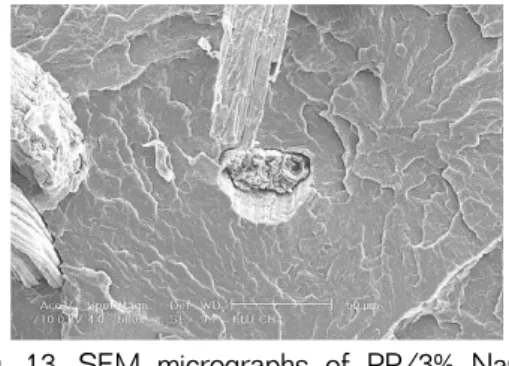 Fig. 11. SEM micrographs of PP/untreated ke- ke-naf fiber (70/30) interface on bio-com-  posite: 50 µm (× 500).