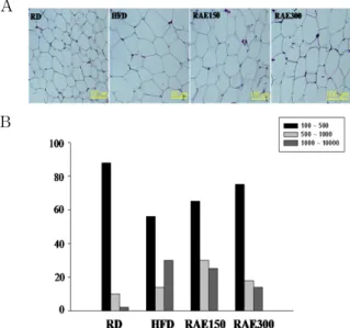 Fig.  3.  Effects  of  RA  herbal  acupuncture  on  trans-  criptional  factors  for  adipocyte  differentiation  in  epi-  didymal  tissues
