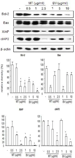 Fig. 3. Effect of MT or BV on expression of pro-apototic gene in PC-3 cells