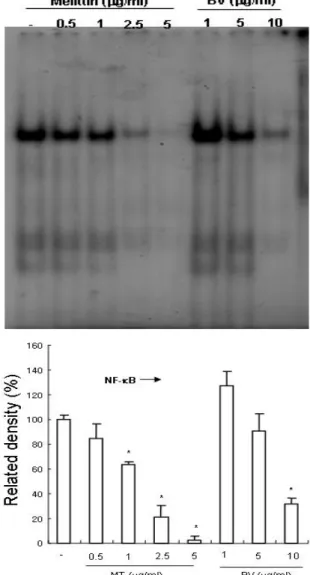 Table 4. Effect of MT or BV on NF-κB Activity in PC-3 Cells