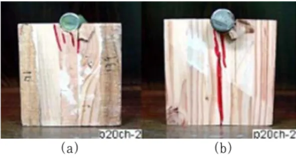 Fig. 6. Picture of splitting Failure (B20CV-3,  P20CV-5). P12RV-4). 편도 역시 12 mm 시편의 약 90%가 할렬파단이 일 어났으며, 16 mm, 20 mm의 경우 20%의 할렬파단 을 보였다(Fig