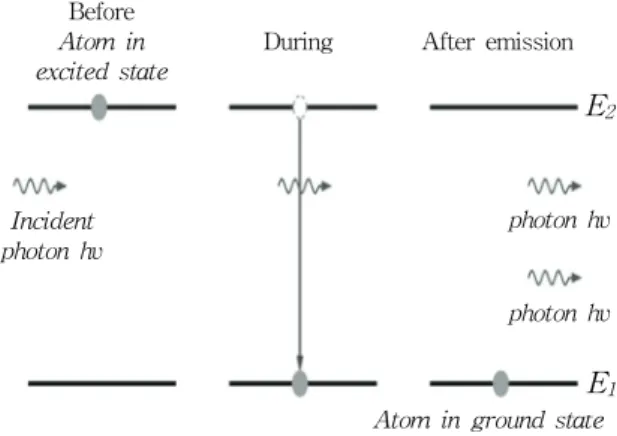 Fig.  1.  Population  inversion