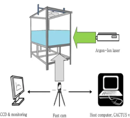 Figure 3: Schematic arrangement of PIV system