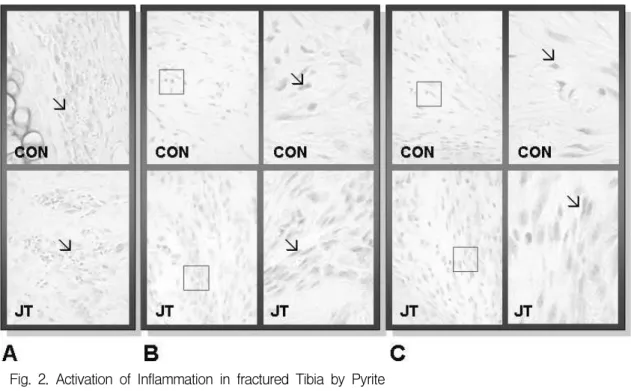 Table 2. The Image Analysis for Activation of Pre-inflammation Cytokine by Pyrite