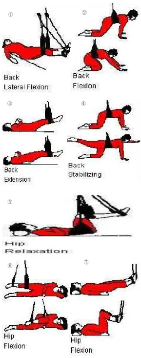 Fig. 1. Sling exercise therapy of this case report