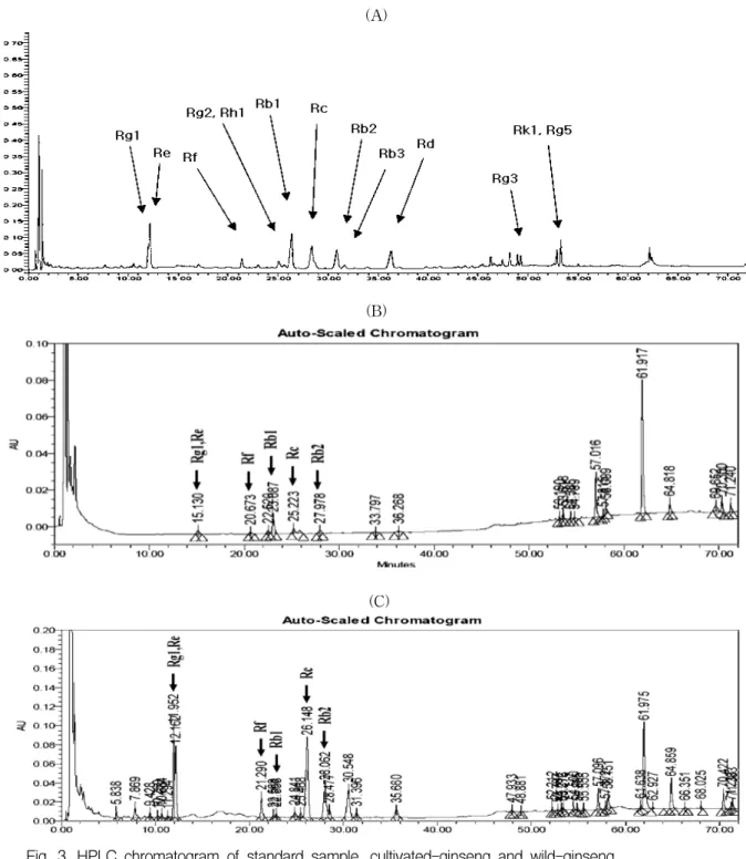 Fig. 3. HPLC chromatogram of standard sample, cultivated-ginseng and wild-ginseng (A) : standard sample