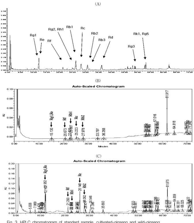 Fig. 3. HPLC chromatogram of standard sample, cultivated-ginseng and wild-ginseng (A) : standard sample