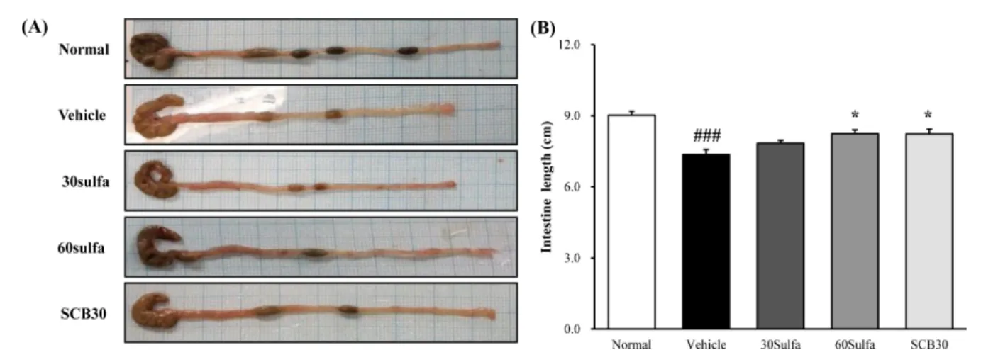 Fig. 2 Effect of SCB on spleen weight. The spleen weights were significantly increase in TNBS-treated mice in comparison to normal.