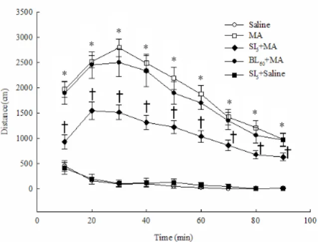 Fig.  2.  The  total  locomotor  activity  counts  during  the  90min  testing  period  after  saline  or  metham-  phetamine  injection(0.5mg/kg  s.c)